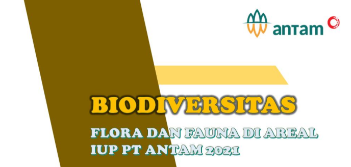 Biodiversitas Flora dan Fauna di Area IUP ANTAM 2021